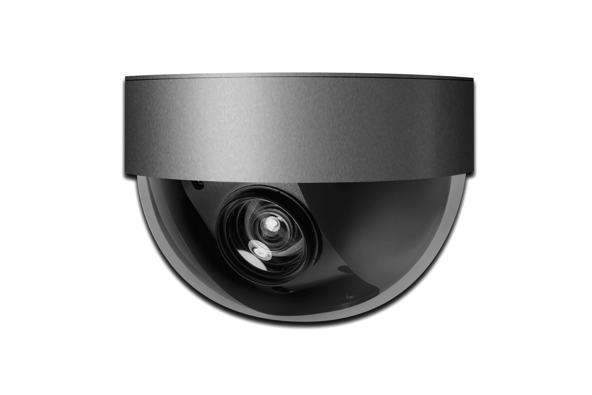 Digitus DN-16058-1 Dome Tipi Gündüz İç Mekan IP Kamera